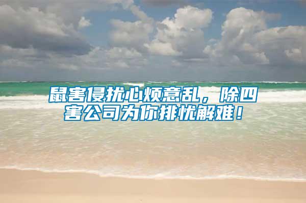 鼠害侵?jǐn)_心煩意亂，除四害公司為你排憂(yōu)解難！