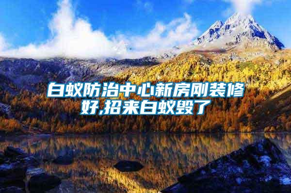白蟻防治中心新房剛裝修好,招來(lái)白蟻毀了