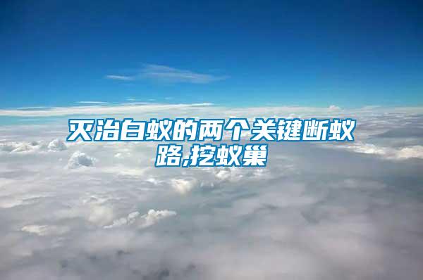滅治白蟻的兩個關(guān)鍵斷蟻路,挖蟻巢