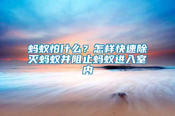 螞蟻怕什么？怎樣快速除滅螞蟻并阻止螞蟻進(jìn)入室內(nèi)