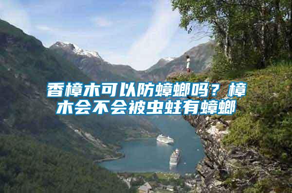香樟木可以防蟑螂嗎？樟木會(huì)不會(huì)被蟲蛀有蟑螂