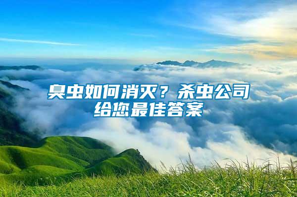 臭蟲如何消滅？殺蟲公司給您最佳答案