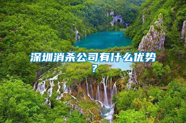 深圳消殺公司有什么優(yōu)勢？
