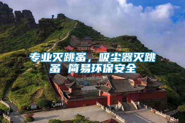 專業(yè)滅跳蚤，吸塵器滅跳蚤 簡易環(huán)保安全
