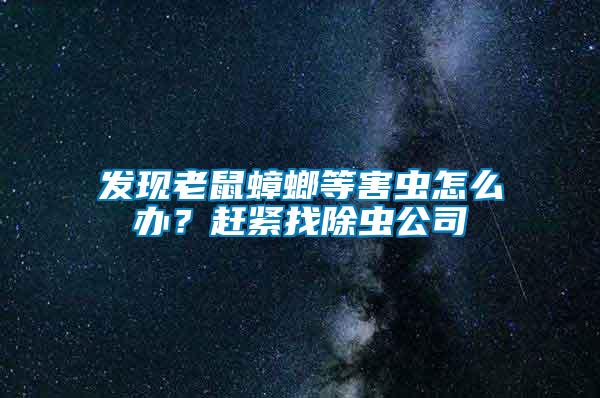 發(fā)現老鼠蟑螂等害蟲怎么辦？趕緊找除蟲公司