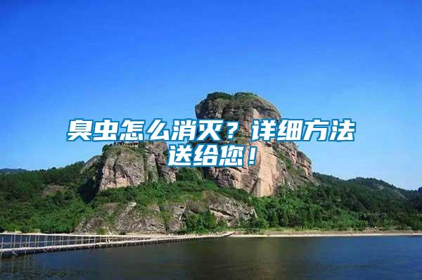 臭蟲(chóng)怎么消滅？詳細(xì)方法送給您！