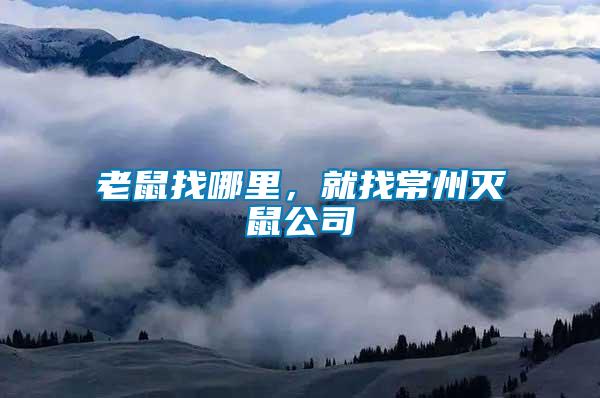 老鼠找哪里，就找常州滅鼠公司