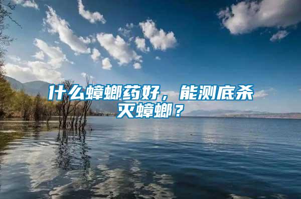 什么蟑螂藥好，能測底殺滅蟑螂？