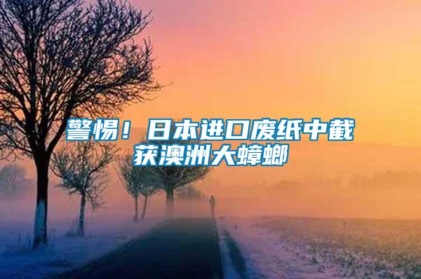 警惕！日本進(jìn)口廢紙中截獲澳洲大蟑螂