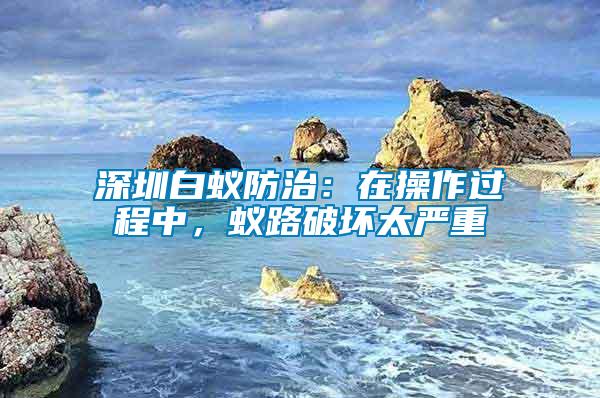 深圳白蟻防治：在操作過程中，蟻路破壞太嚴(yán)重