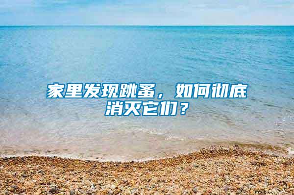 家里發(fā)現(xiàn)跳蚤，如何徹底消滅它們？