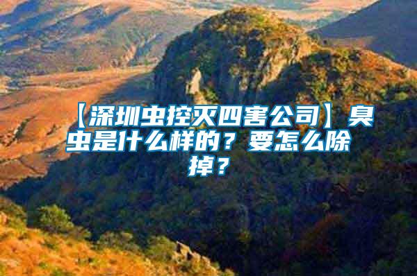 【深圳蟲控滅四害公司】臭蟲是什么樣的？要怎么除掉？