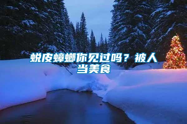 蛻皮蟑螂你見過嗎？被人當(dāng)美食