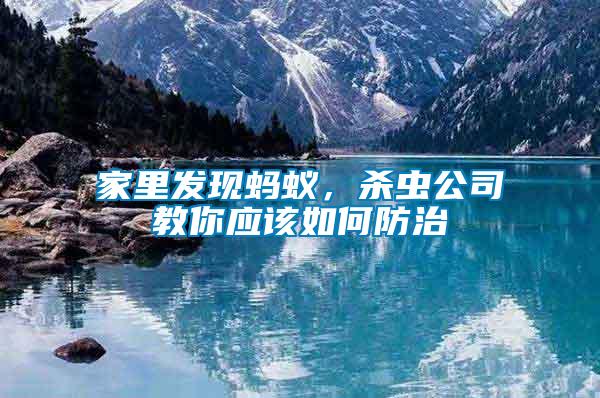 家里發(fā)現(xiàn)螞蟻，殺蟲公司教你應(yīng)該如何防治