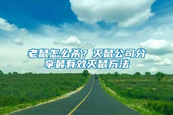 老鼠怎么殺？滅鼠公司分享最有效滅鼠方法