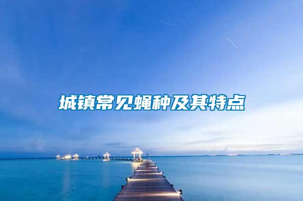 城鎮(zhèn)常見蠅種及其特點