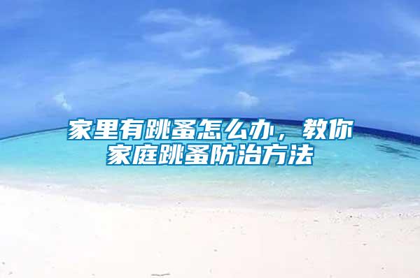家里有跳蚤怎么辦，教你家庭跳蚤防治方法