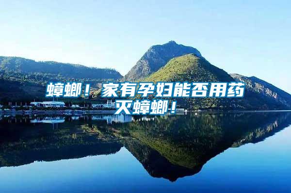 蟑螂！家有孕婦能否用藥滅蟑螂！