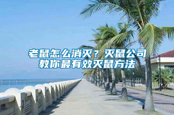 老鼠怎么消滅？滅鼠公司教你最有效滅鼠方法