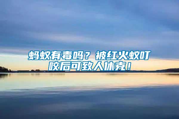 螞蟻有毒嗎？被紅火蟻叮咬后可致人休克！