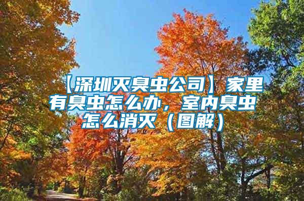 【深圳滅臭蟲公司】家里有臭蟲怎么辦，室內(nèi)臭蟲怎么消滅（圖解）