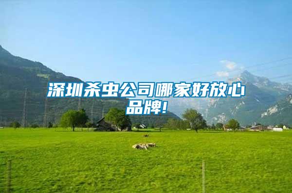 深圳殺蟲公司哪家好放心品牌!