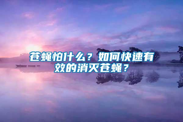 蒼蠅怕什么？如何快速有效的消滅蒼蠅？