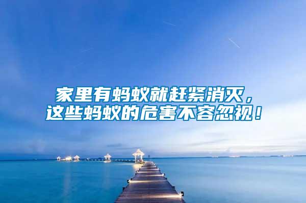 家里有螞蟻就趕緊消滅，這些螞蟻的危害不容忽視！