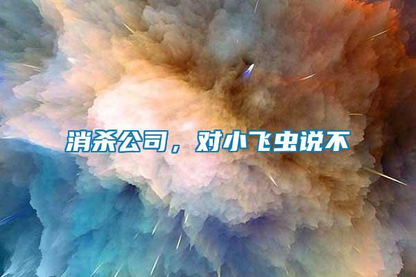 消殺公司，對小飛蟲說不