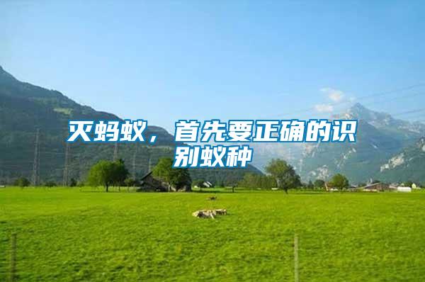 滅螞蟻，首先要正確的識別蟻種