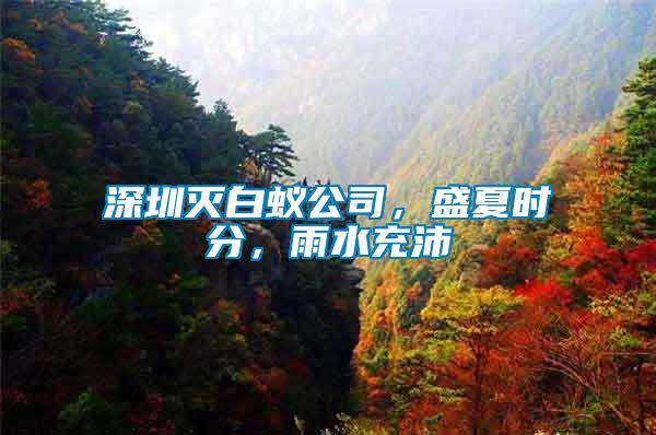 深圳滅白蟻公司，盛夏時分，雨水充沛