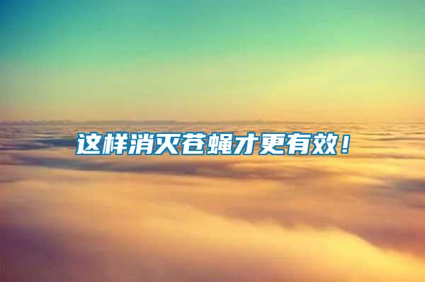 這樣消滅蒼蠅才更有效！
