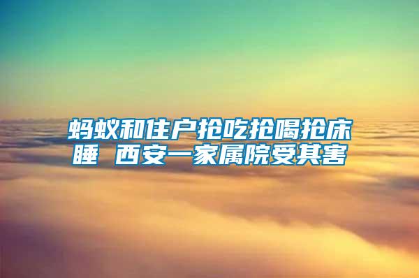 螞蟻和住戶(hù)搶吃搶喝搶床睡 西安一家屬院受其害