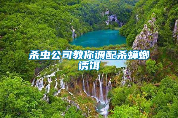 殺蟲(chóng)公司教你調(diào)配殺蟑螂誘餌