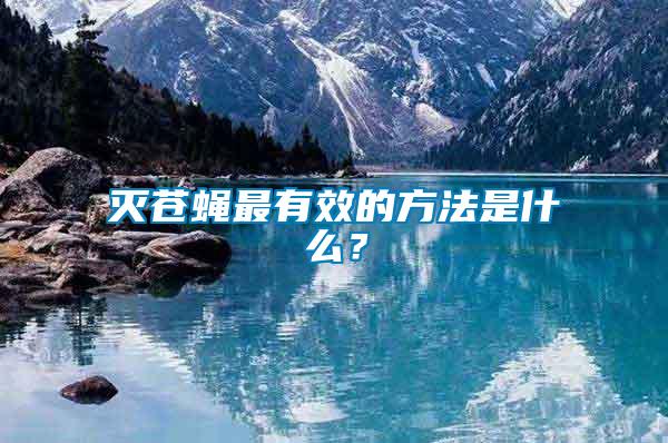 滅蒼蠅最有效的方法是什么？