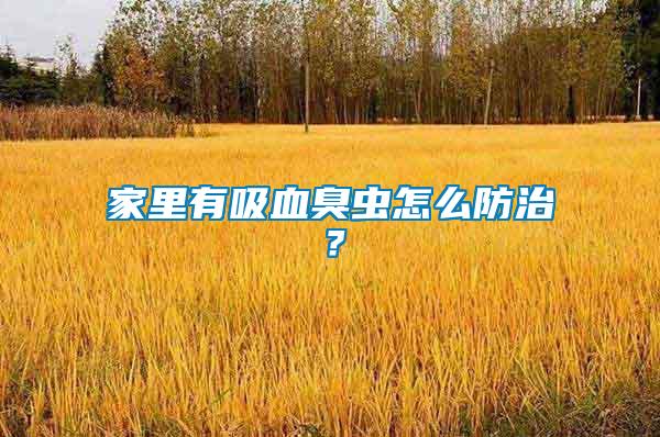 家里有吸血臭蟲怎么防治？