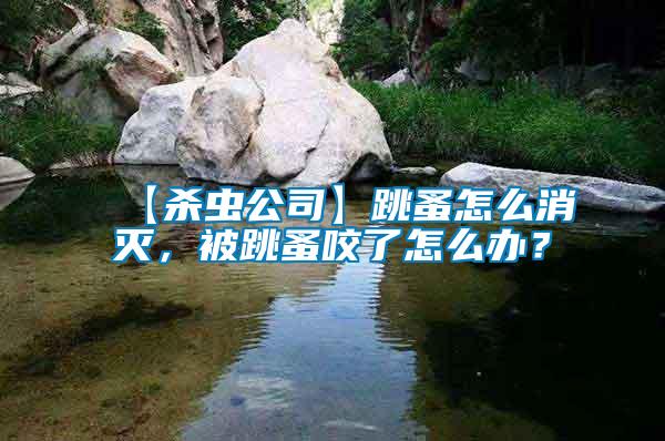 【殺蟲公司】跳蚤怎么消滅，被跳蚤咬了怎么辦？