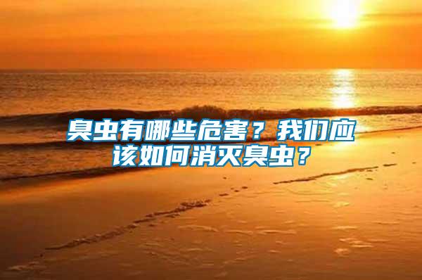 臭蟲有哪些危害？我們應該如何消滅臭蟲？