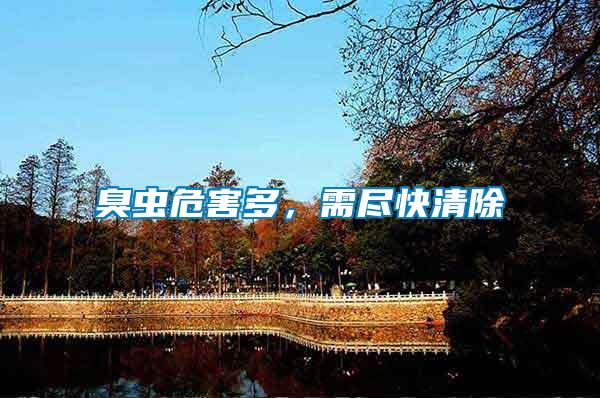 臭蟲危害多，需盡快清除
