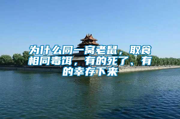 為什么同一窩老鼠，取食相同毒餌，有的死了、有的幸存下來