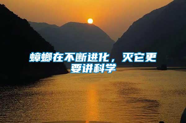 蟑螂在不斷進(jìn)化，滅它更要講科學(xué)