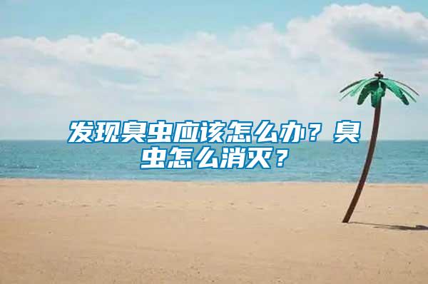 發(fā)現(xiàn)臭蟲應(yīng)該怎么辦？臭蟲怎么消滅？