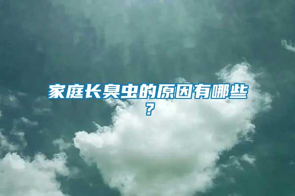 家庭長(zhǎng)臭蟲的原因有哪些？