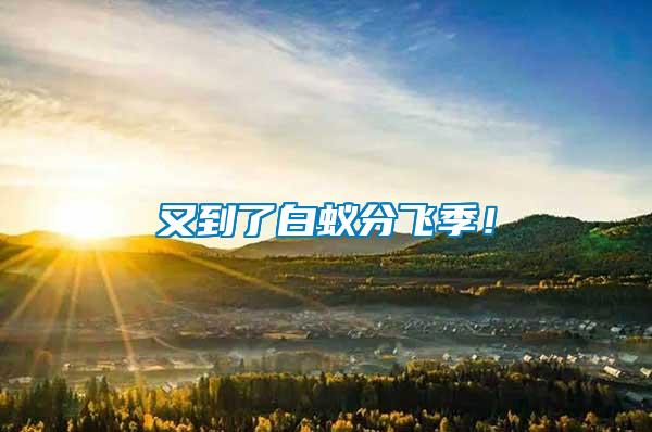 又到了白蟻分飛季！