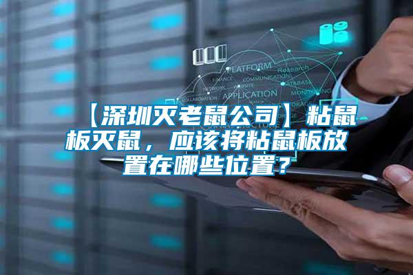 【深圳滅老鼠公司】粘鼠板滅鼠，應該將粘鼠板放置在哪些位置？