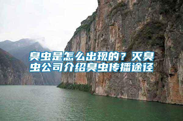 臭蟲是怎么出現(xiàn)的？滅臭蟲公司介紹臭蟲傳播途徑