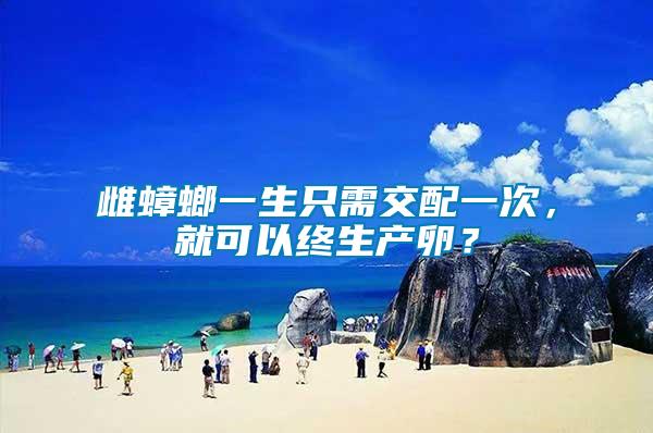雌蟑螂一生只需交配一次，就可以終生產(chǎn)卵？