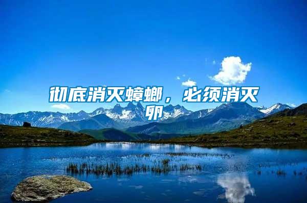 徹底消滅蟑螂，必須消滅卵