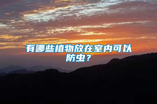 有哪些植物放在室內(nèi)可以防蟲？