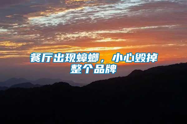 餐廳出現(xiàn)蟑螂，小心毀掉整個(gè)品牌